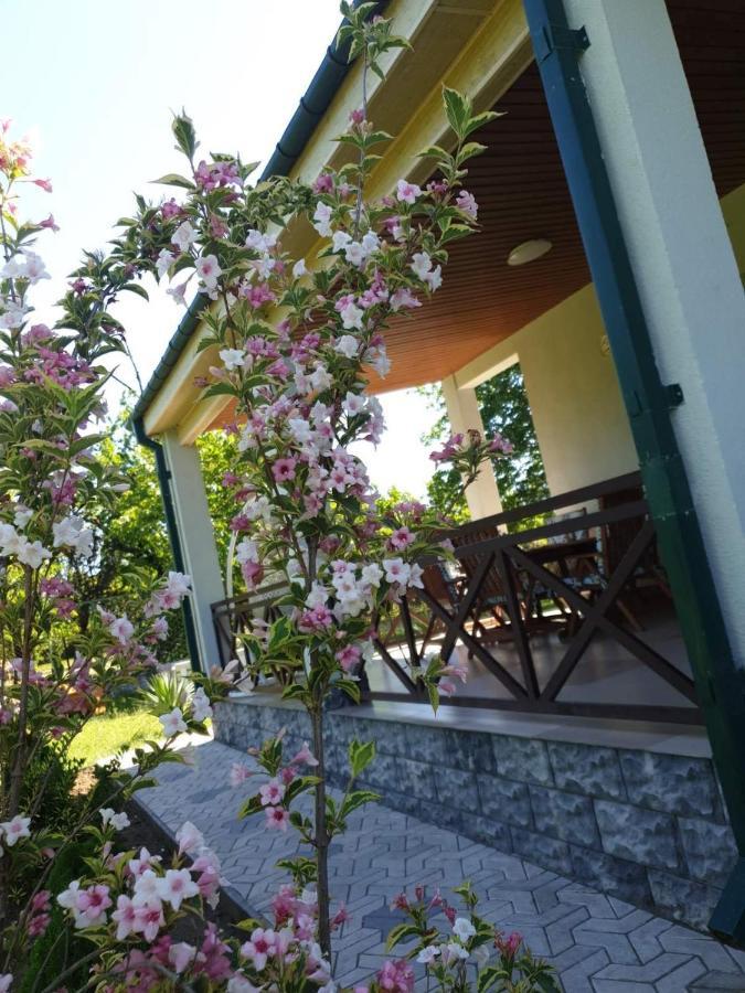 Villa Rokiti Exterior photo